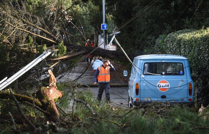 Efforts de nettoyage suite à la tempête Ciaran à La Baule-les-Pins, dans l'ouest de la France, le 2 novembre 2023.