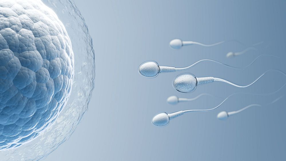 Une nouvelle étude établit un lien entre l'exposition aux insecticides et une plus faible concentration de spermatozoïdes chez les hommes