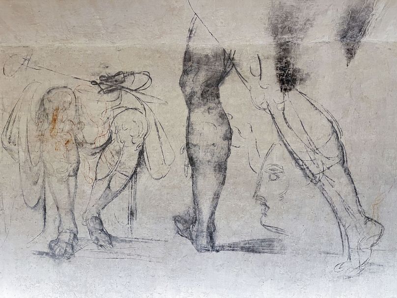 De délicats dessins au fusain que certains experts ont attribués à Michel-Ange sont visibles sur les murs d'une pièce utilisée pour stocker le charbon jusqu'en 1955 à l'intérieur de la chapelle des Médicis de Florence.