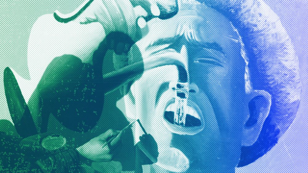 Eurovues. Les artistes et le patrimoine culturel afghans sont sur le point d'être effacés