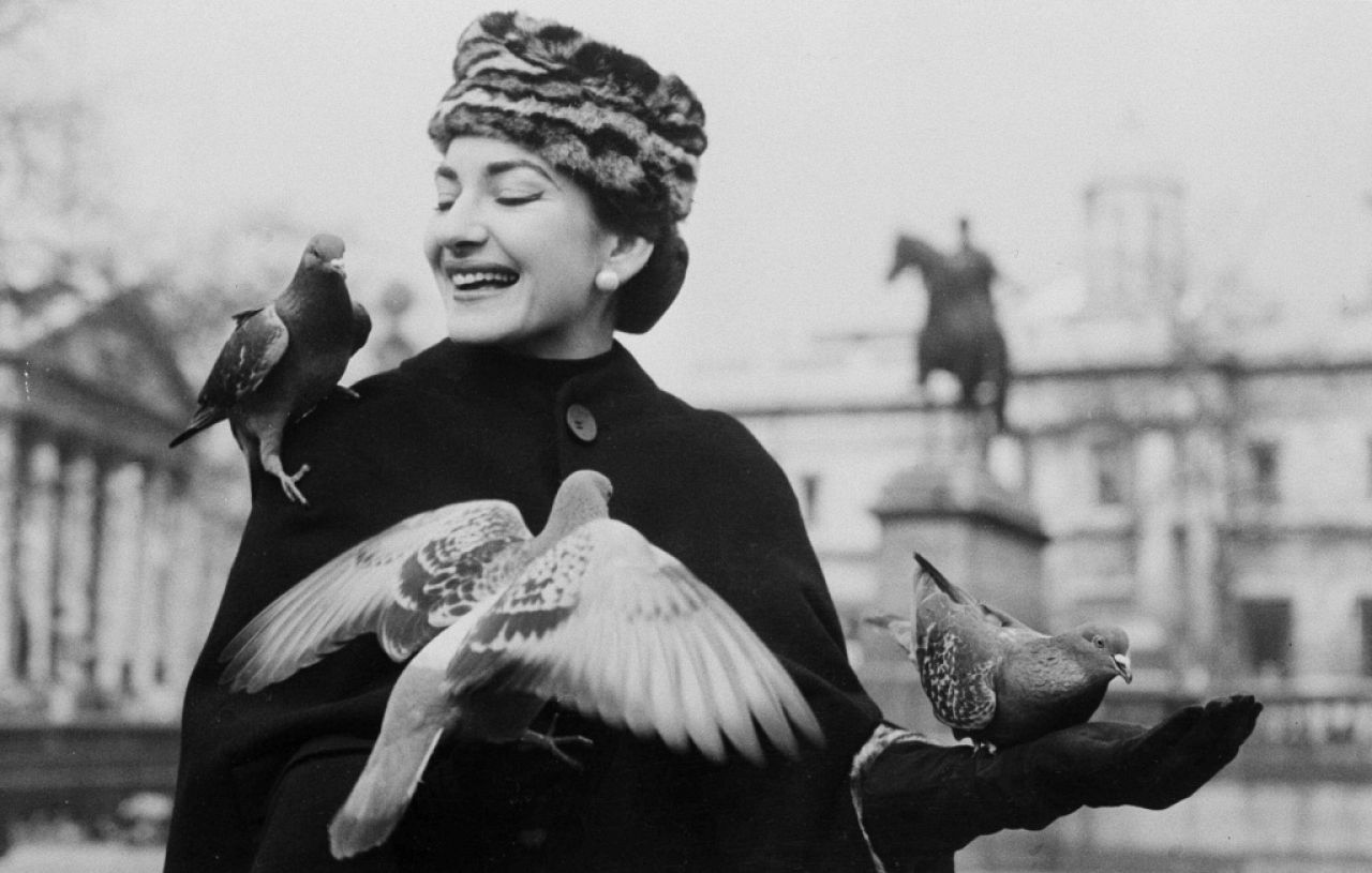 La soprano d'opéra Maria Callas tient et nourrit des pigeons à Trafalgar Square, à Londres, le 4 février 1957.