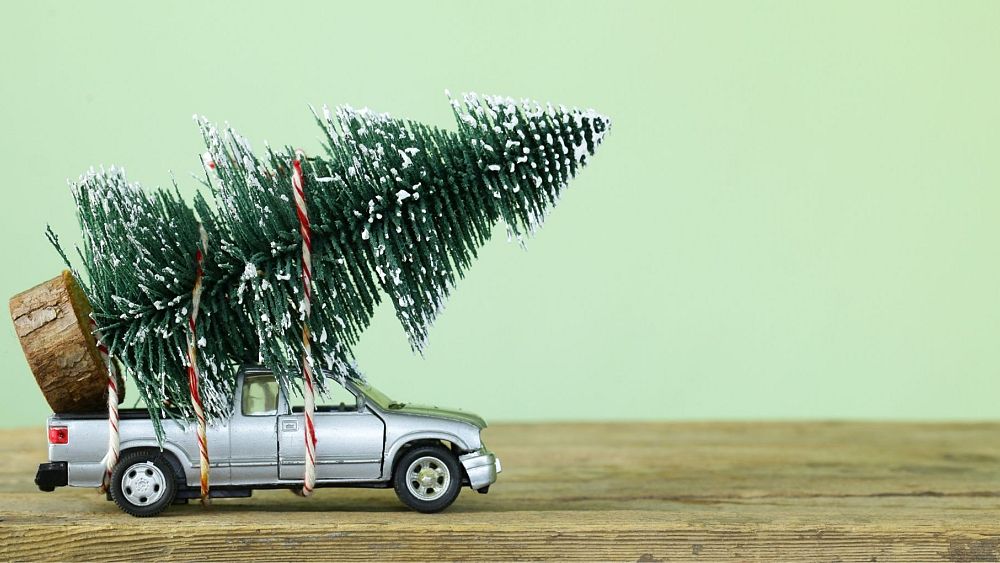 Les faux ou les vrais sapins de Noël sont-ils meilleurs pour l'environnement ? Nous avons demandé aux experts