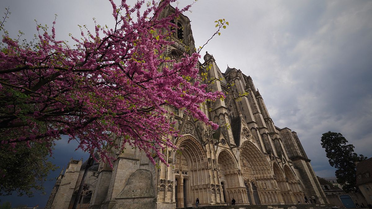 Saint-Etienne Cathedral in Bourges, next to a tree in blossoms. Bourges will become the European Capital of Culture in 2028