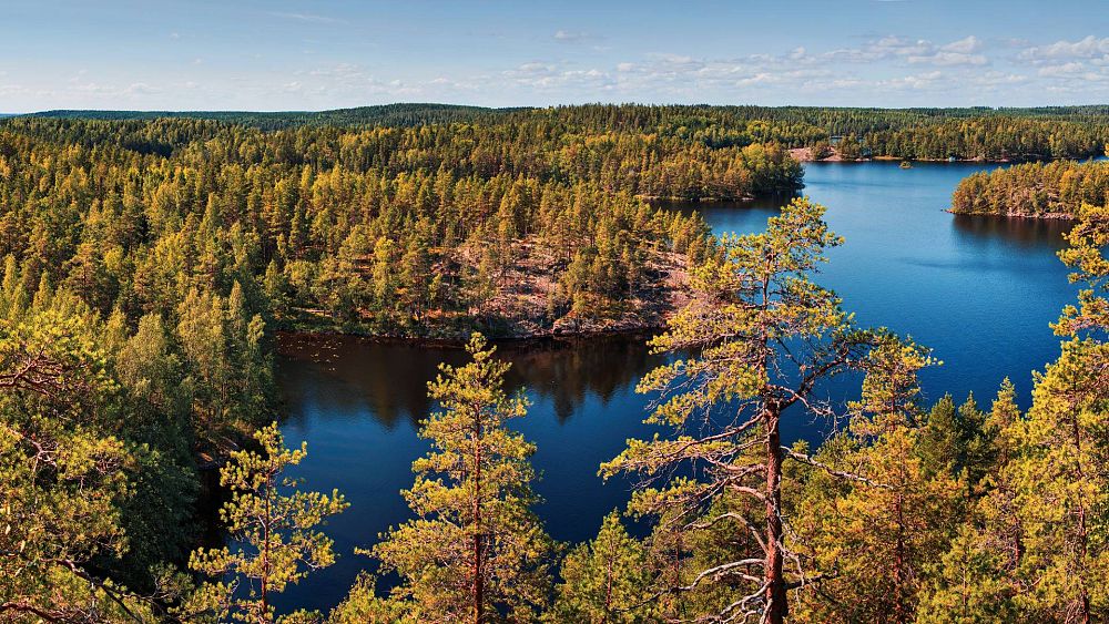 Émetteurs négatifs : le Danemark est en tête du groupe de pays visant à éliminer plus de CO2 qu’ils n’en émettent