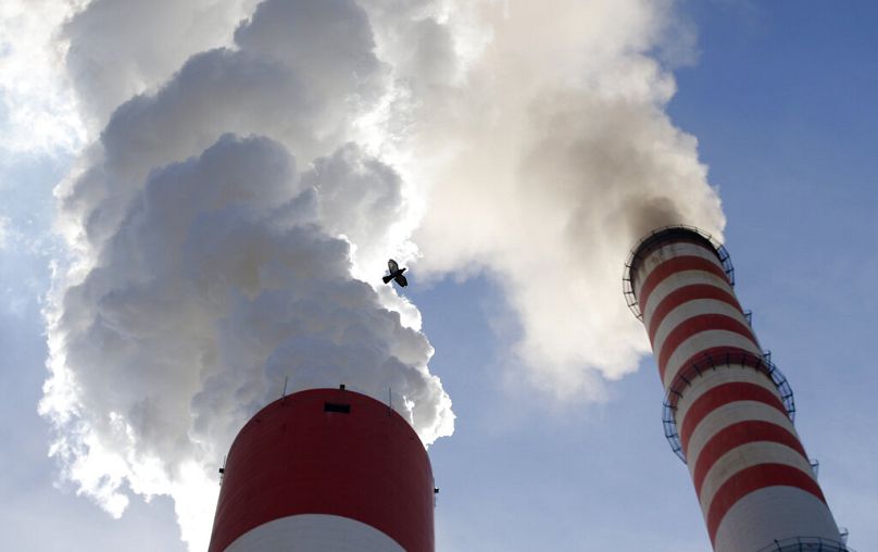 Un oiseau survole alors que de la fumée s'échappe des cheminées de la principale centrale électrique au charbon de Serbie, près de Kostolac, octobre 2018.