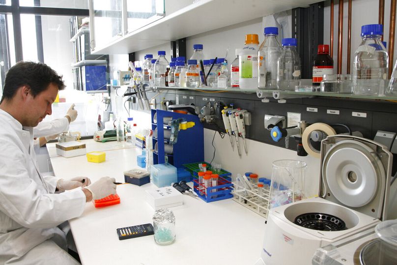 Les cellules souches embryonnaires (cellules ES) font l'objet de recherches à l'Institut allemand de neurobiologie reconstructive de l'université de Bonn, avril 2009.