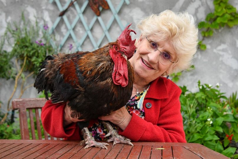 Corinne Fesseau pose avec son coq "Maurice" dans son jardin à Saint-Pierre-d'Oléron à La Rochelle, dans l'ouest de la France, le 5 juin 2019