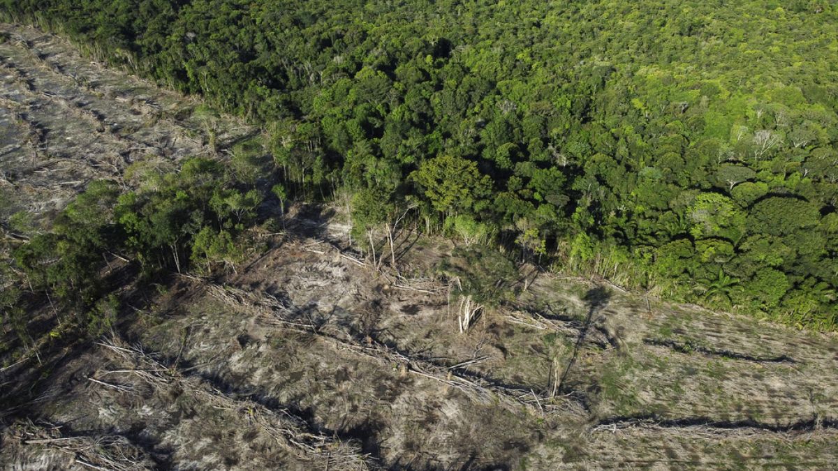 Swathes of rainforest cleared for agriculture in Para state, Brazil, June 1, 2023,