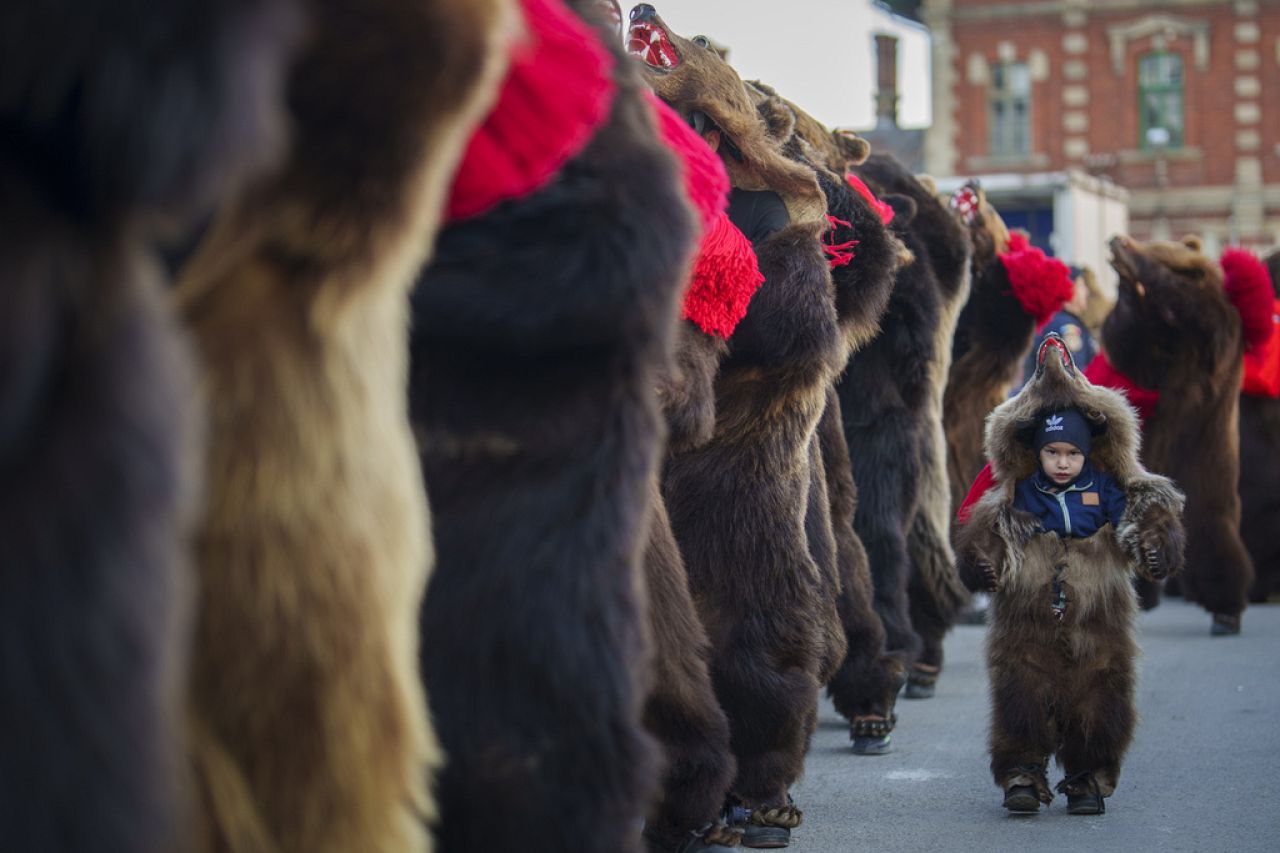 Un enfant membre d'une meute d'ours traditionnelle participe à un défilé dans la rue principale avant de se produire dans un festival à Moinesti, dans le nord de la Roumanie, le mercredi 27 décembre 2023.