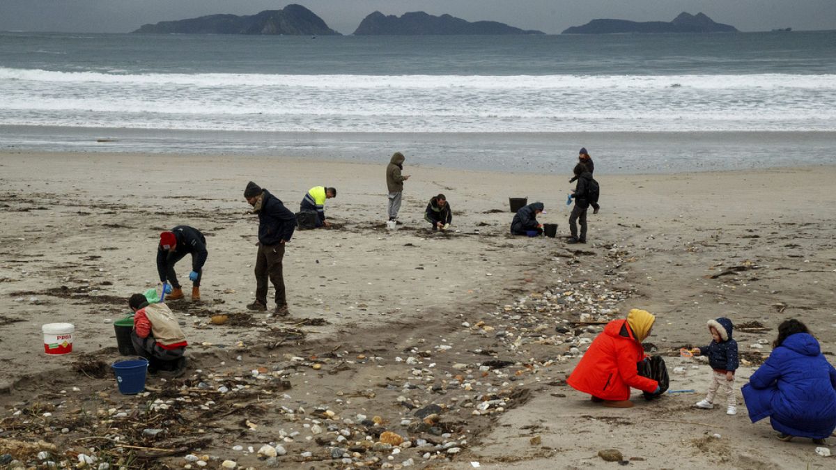 Volunteers collect plastic pellets from a beach in Nigran, Pontevedra, Spain, Tuesday, Jan. 9, 2024.