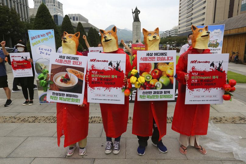 Des militants végétariens sud-coréens portant des masques de chien organisent un rassemblement contre la culture sud-coréenne consistant à manger de la viande de chien à Séoul, en juillet 2020.