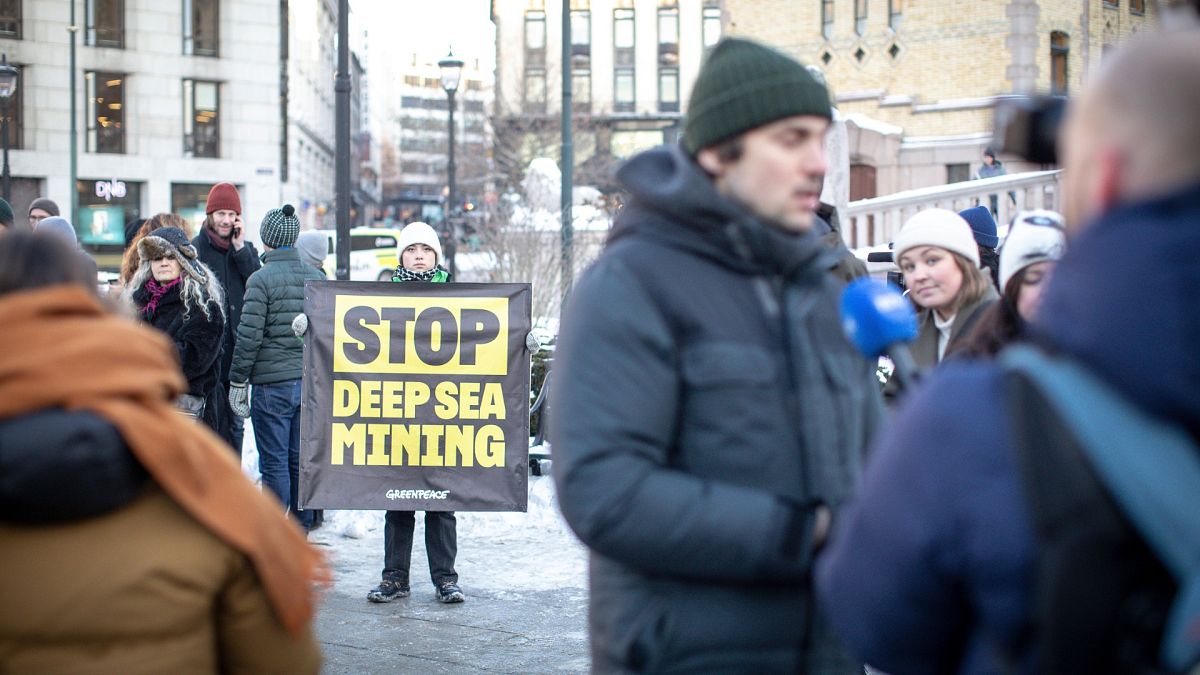 International activists and environmental organisations gather outside the Norwegian Parliament to share solidarity and hope for reversing the decision made by the Government
