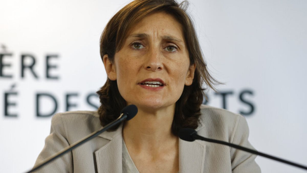 Newly appointed French Minister of Education, Sports, and Olympic Games, Amelie Oudea-Caster.