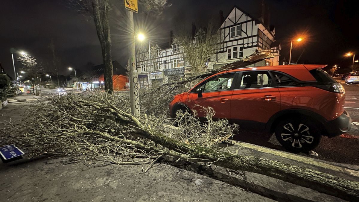 A tree branch fallen on a car on Lisburn Road in Belfast, Northern Ireland, during Storm Isha.