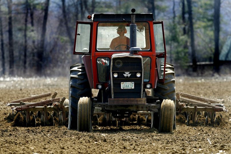 Champs de la ferme Picadillly à Winchester, NH, avril 2007