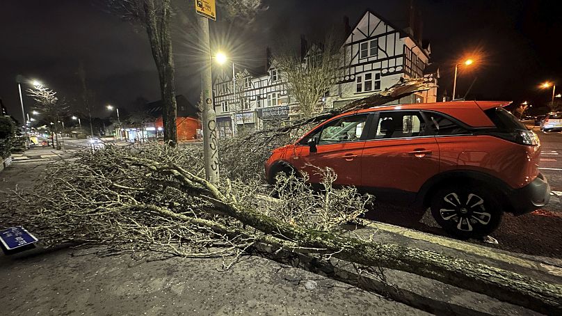Une branche d'arbre tombée sur une voiture sur Lisburn Road à Belfast, en Irlande du Nord, lors de la tempête Isha le 21 janvier 2024.