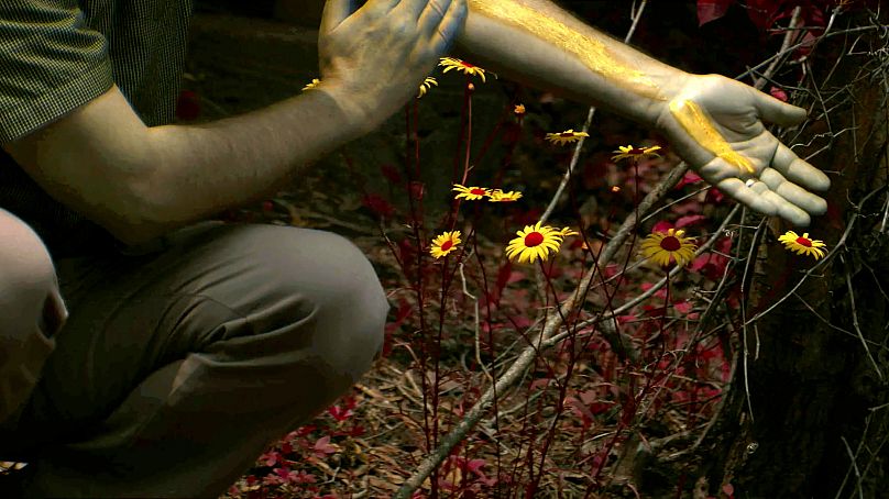 À quoi ressemble une personne qui applique un écran solaire à une abeille.