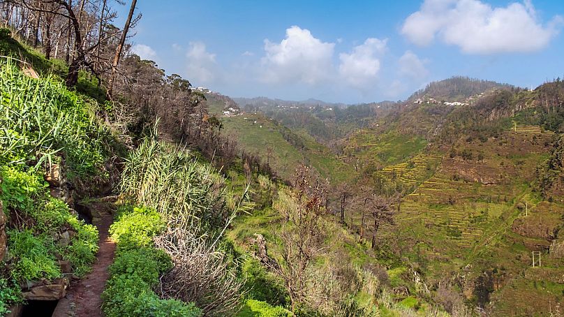 Randonnée le long d'une levada à Madère.