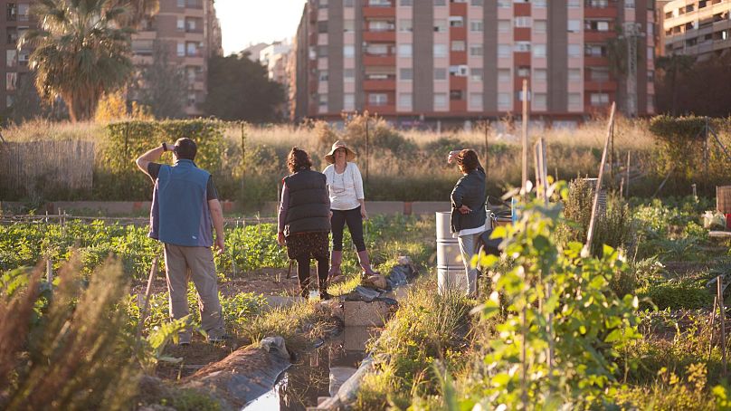 Valence célèbre les « garde-manger » de la nature au cours de son année en tant que capitale verte de l'Europe.