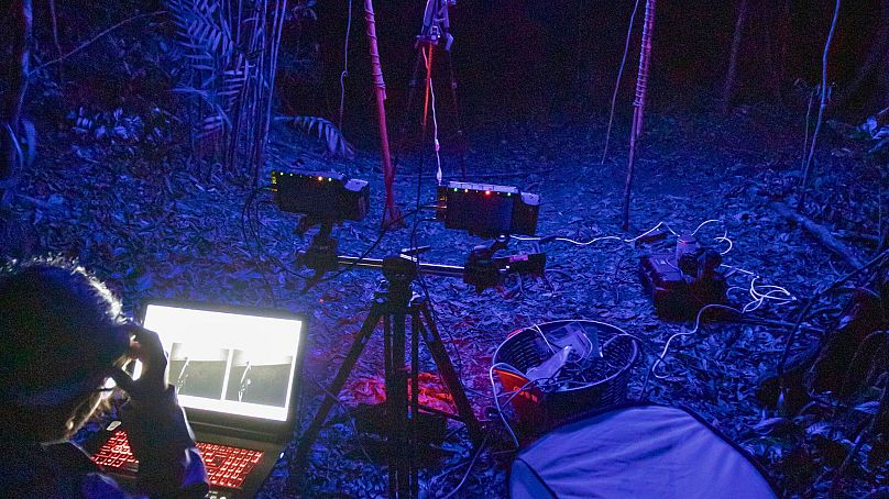 Cette photo de 2022 fournie par Samuel Timothy Fabian montre des expériences en cours sur l'effet de la lumière artificielle sur les insectes volants sauvages à Monteverde, au Costa Rica.