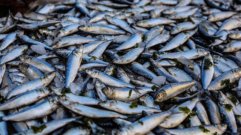 Les panaches issus du chalutage de fond sont visibles depuis l'espace.