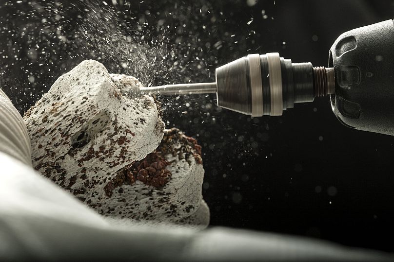 Cette photo fournie par l'Université de Copenhague en janvier 2024 montre le processus d'extraction de l'ADN ancien au centre de géogénétique de la Fondation Lundbeck à Copenhague.