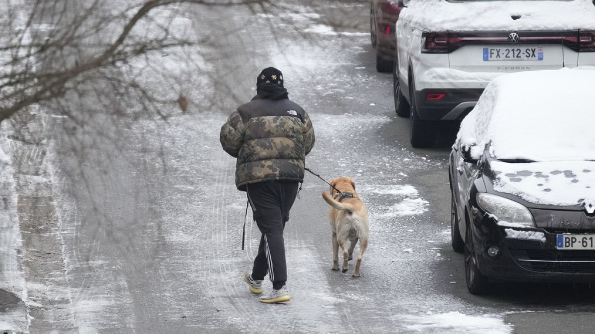 A person walks the dog Tuesday, Jan. 9, 2024 in Ville d