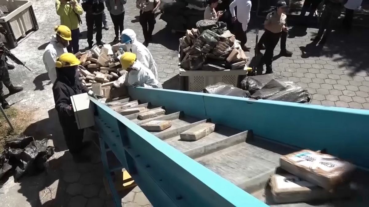 Authorities dispose of 22 tonnes of cocaine, using method known as encapsulation