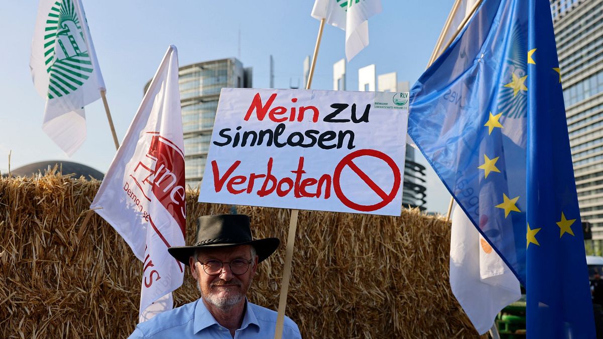 A German farmer supporting the EU