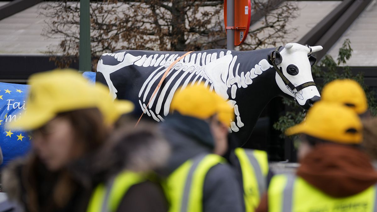 Farmers stand in front of a plastic cow with a skeleton painted on it during a protest outside the European Parliament in Brussels, Jan. 24.