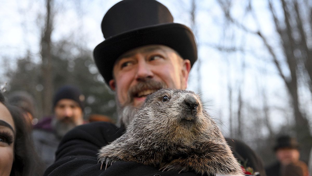 The Groundhog Day tradition in Punxsutawney dates back to the 1880s