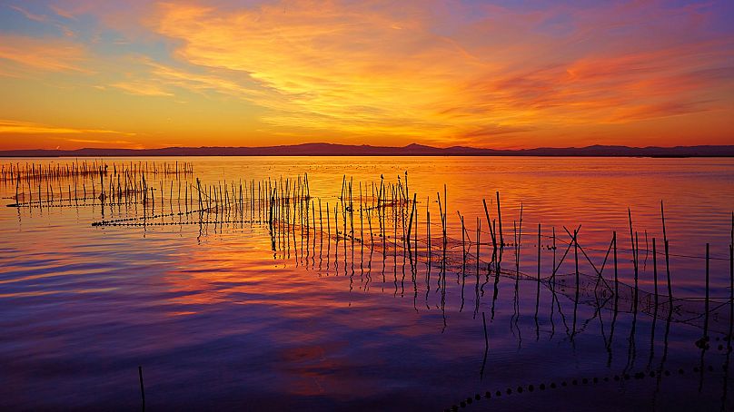 La Albufera est le plus grand lac d'Espagne.
