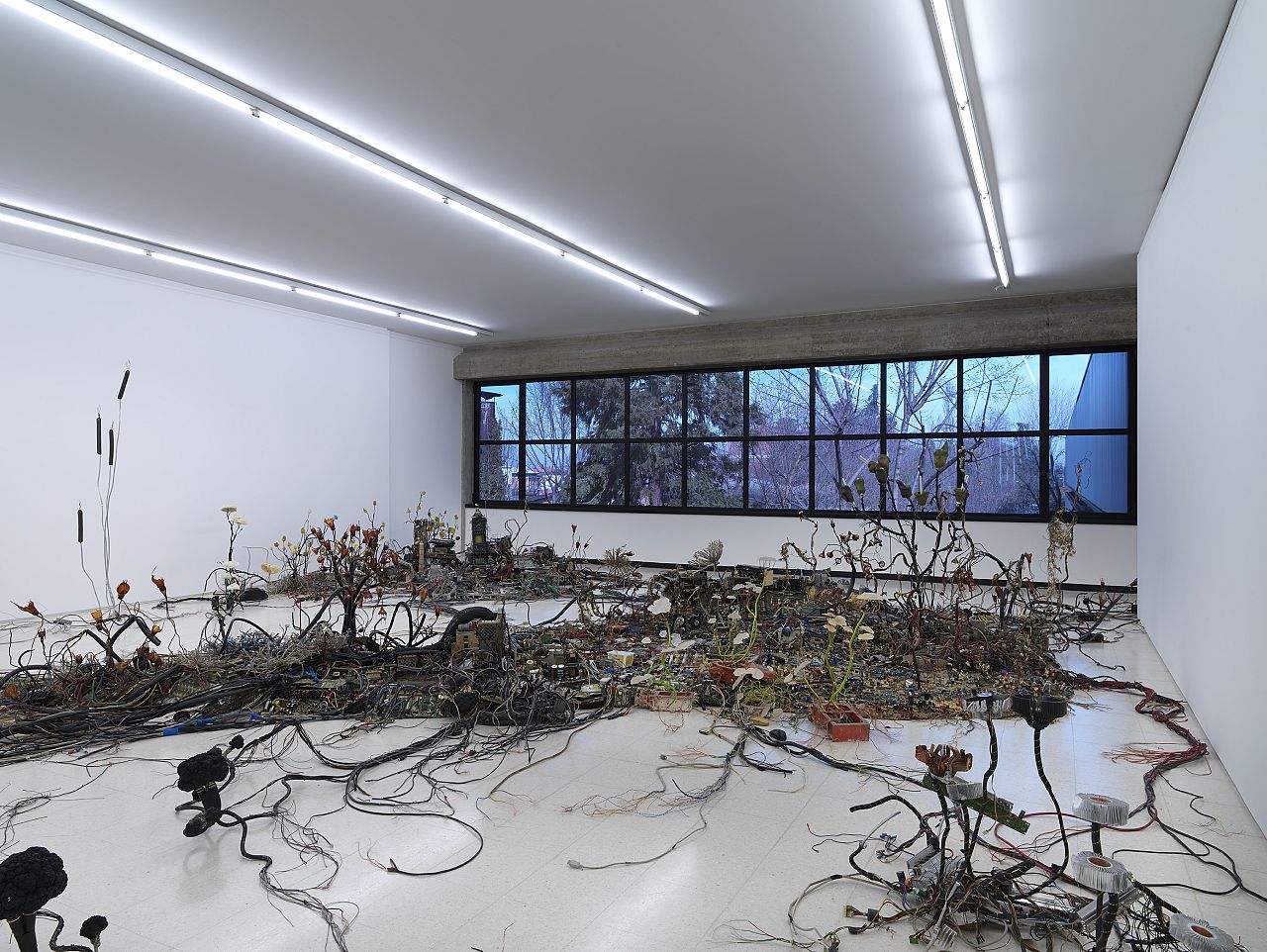 L'intrigant Postnaturalia de Krištof Kinter exposé