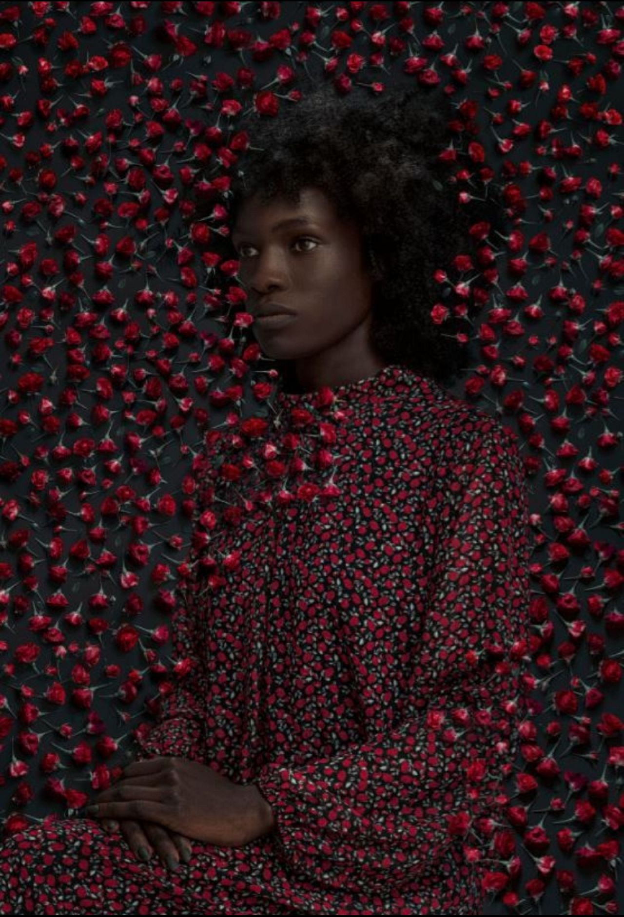 Tijana Morača ; Liste restreinte des prix régionaux européens, Serbie