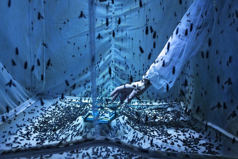 Faim Zéro de Maurizio Di Pietro