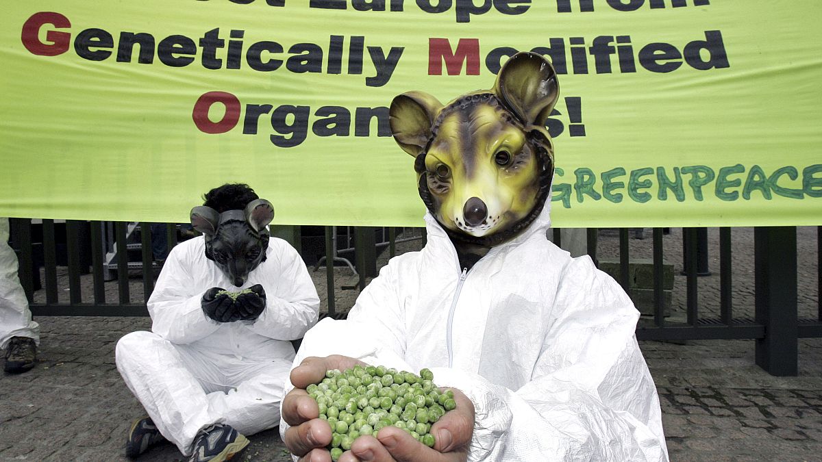 A Greenpeace activist wears a mouse mask in front of a banner opposing genetically modified food, outside the European Council building in Brussels. 2005