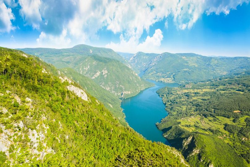 Le parc national de Tara est un paradis pour la biodiversité et les aventures en plein air dans l'ouest de la Serbie.