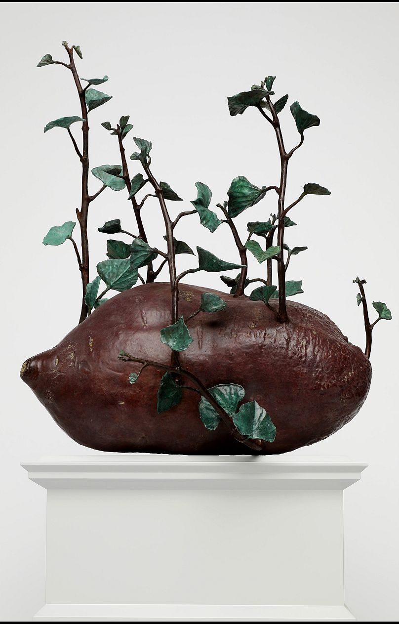 « Les patates douces et les ignames ne sont pas les mêmes » par Veronica Ryan