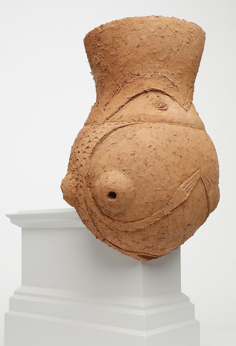 'Hornero' de Gabriel Chaile