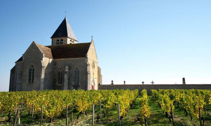 Vue à travers les vignes jusqu'à l'église de Chablis, France