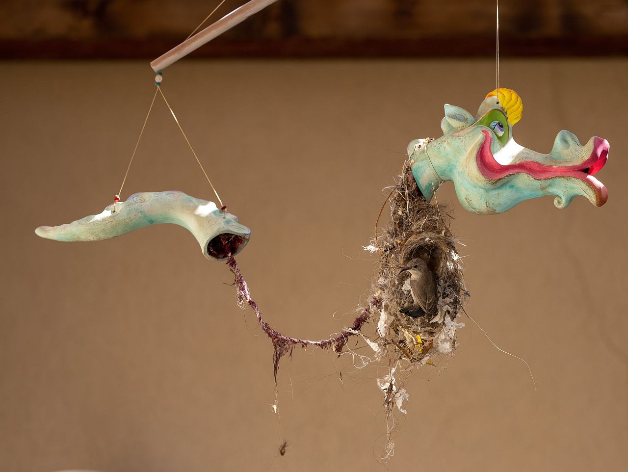 Roy Wiesner : Le nid du dragon