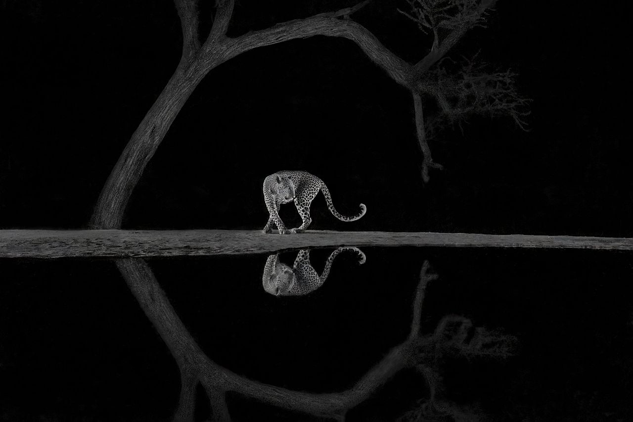 Richard Li : Virage gracieux