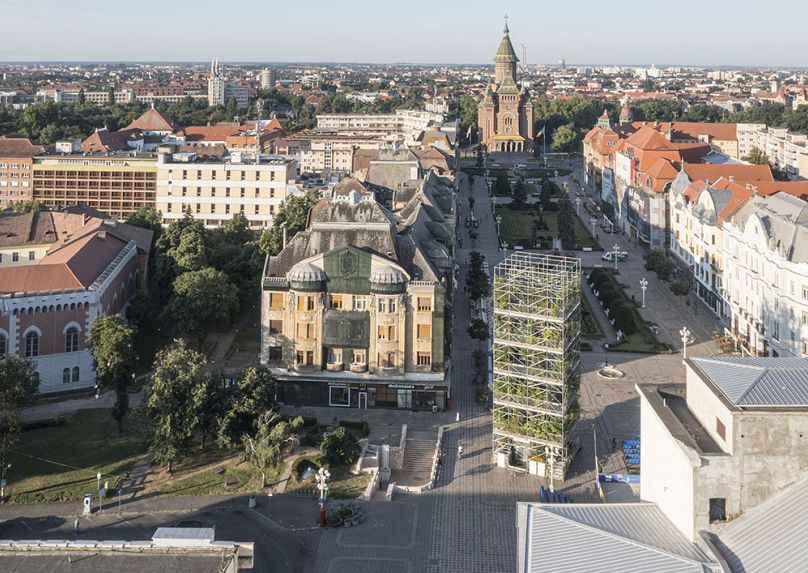 Garderie. 1306 plantes pour Timișoara