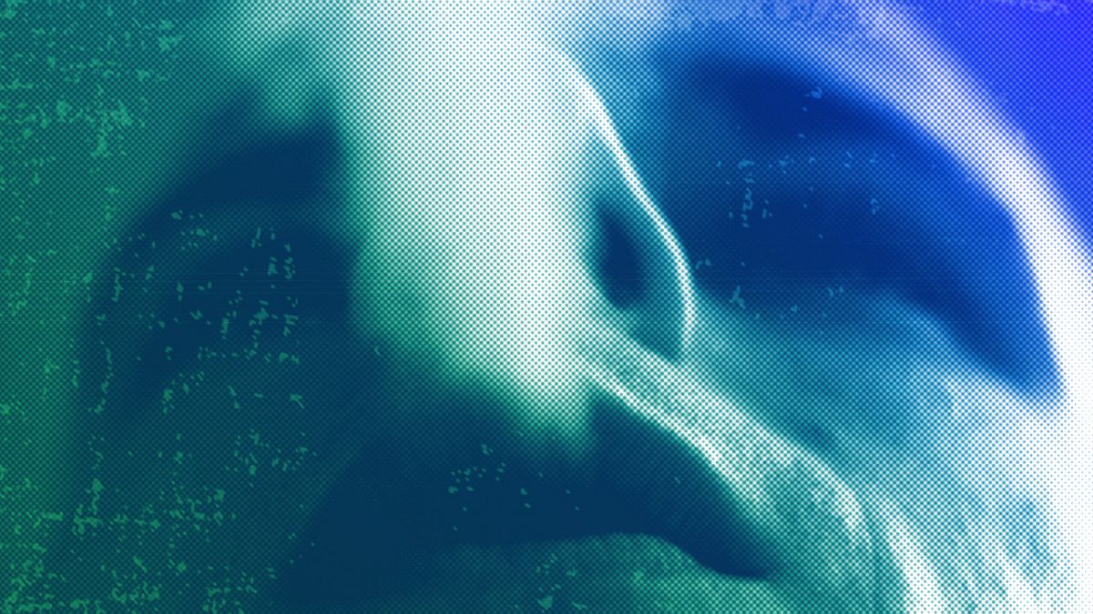 A person smokes in downtown Ottawa, September 2009