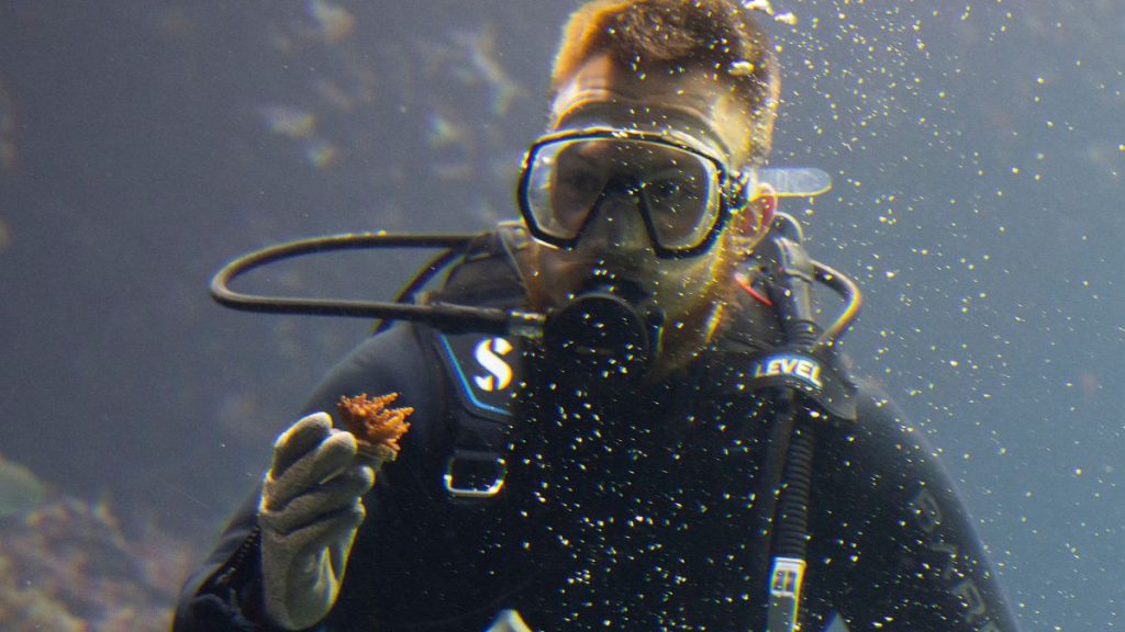 A divers with a self-bred coral from the World Coral Conservatory project amongst at the Burgers