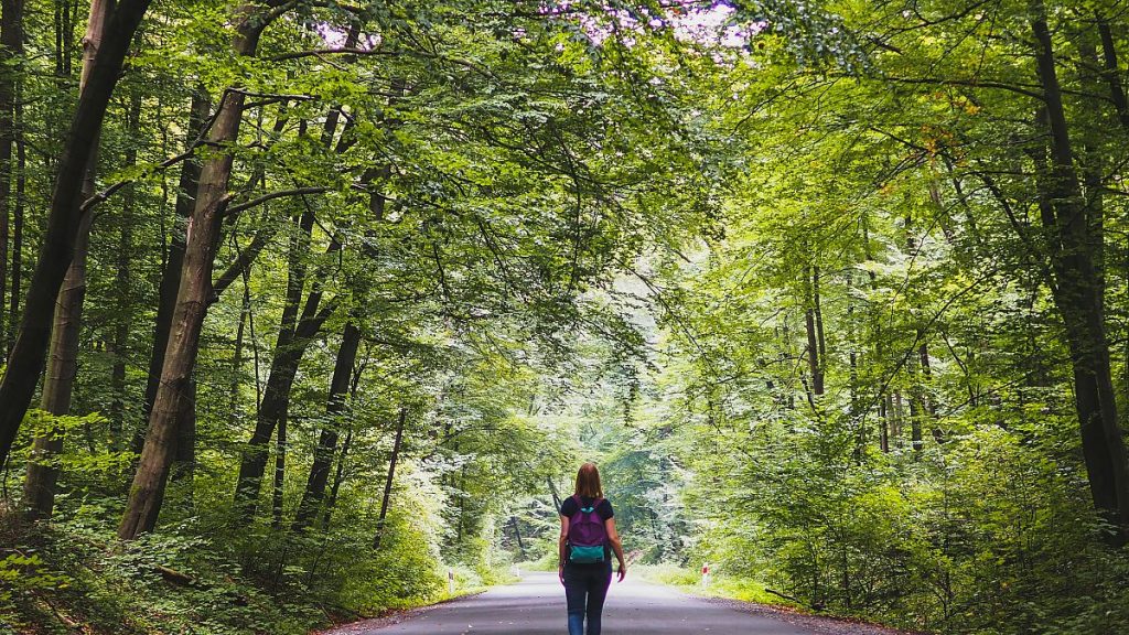 From a planted walkway in the heart of Paris to a cross-border odyssey, here are our top picks for rail trails in Europe.