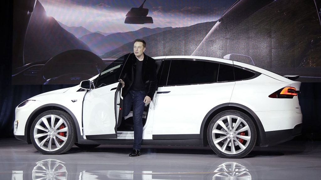 Elon Musk, CEO of Tesla Motors (file photo)