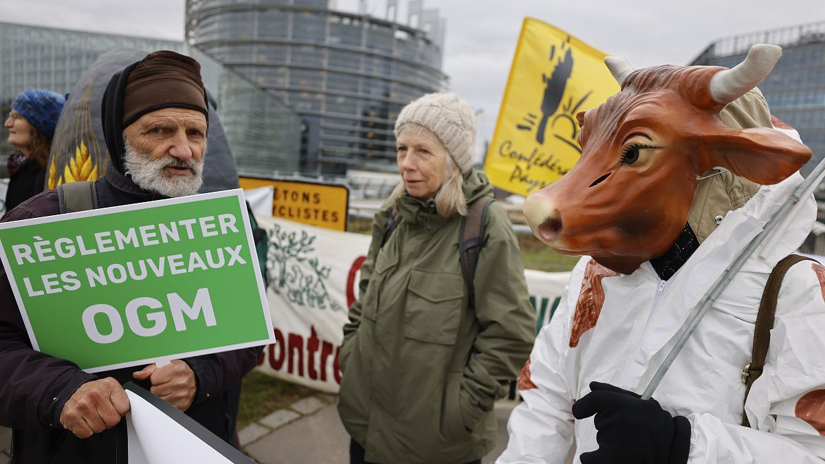 A protest in February outside the European Parliament in Strasbourg.