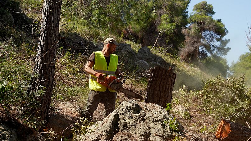 La création de coupe-feu aide à contenir la propagation des incendies de forêt