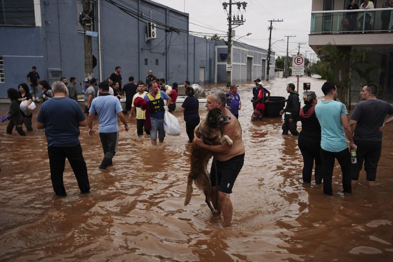 Les résidents et les chiens évacuent un quartier inondé par de fortes pluies, à Canoas, dans l'État de Rio Grande do Sul, au Brésil